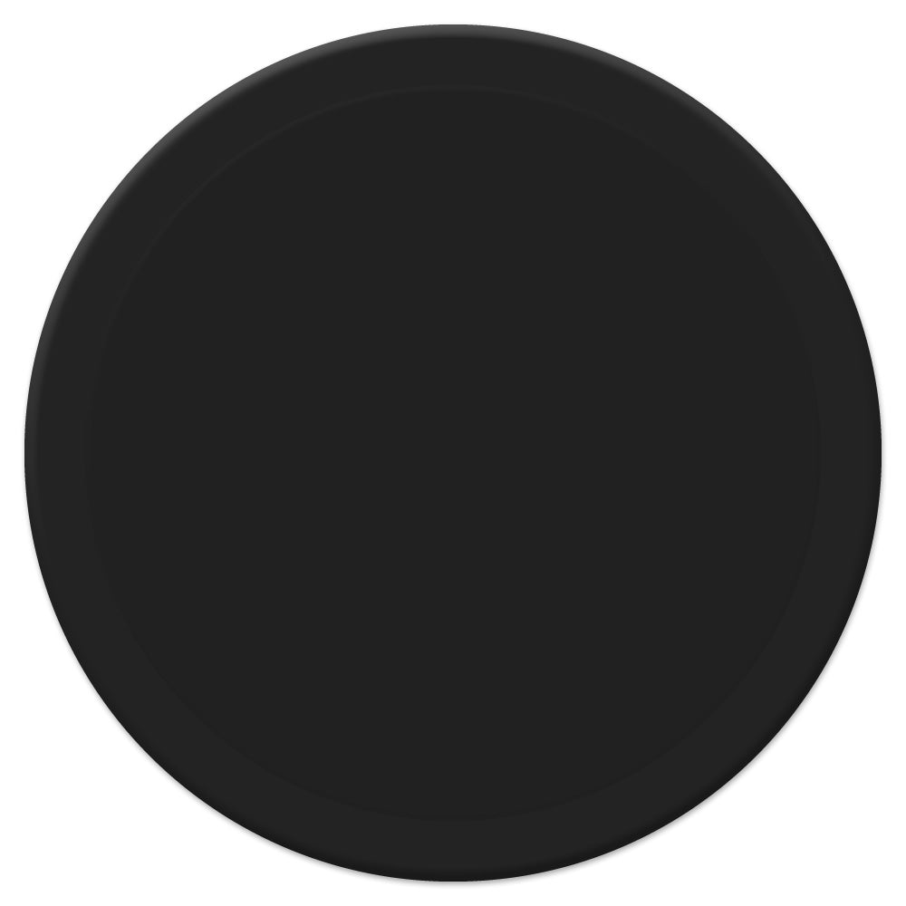 Hockey Puck