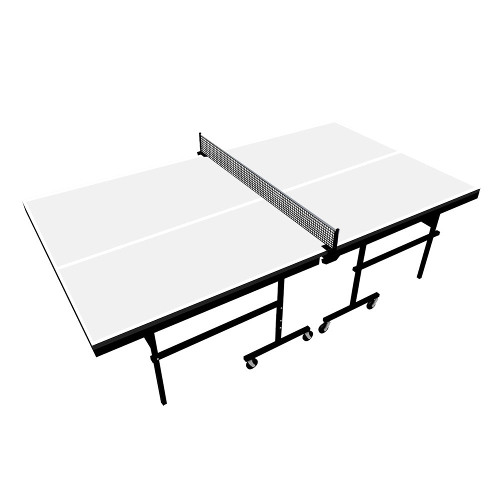 Ping Pong Table