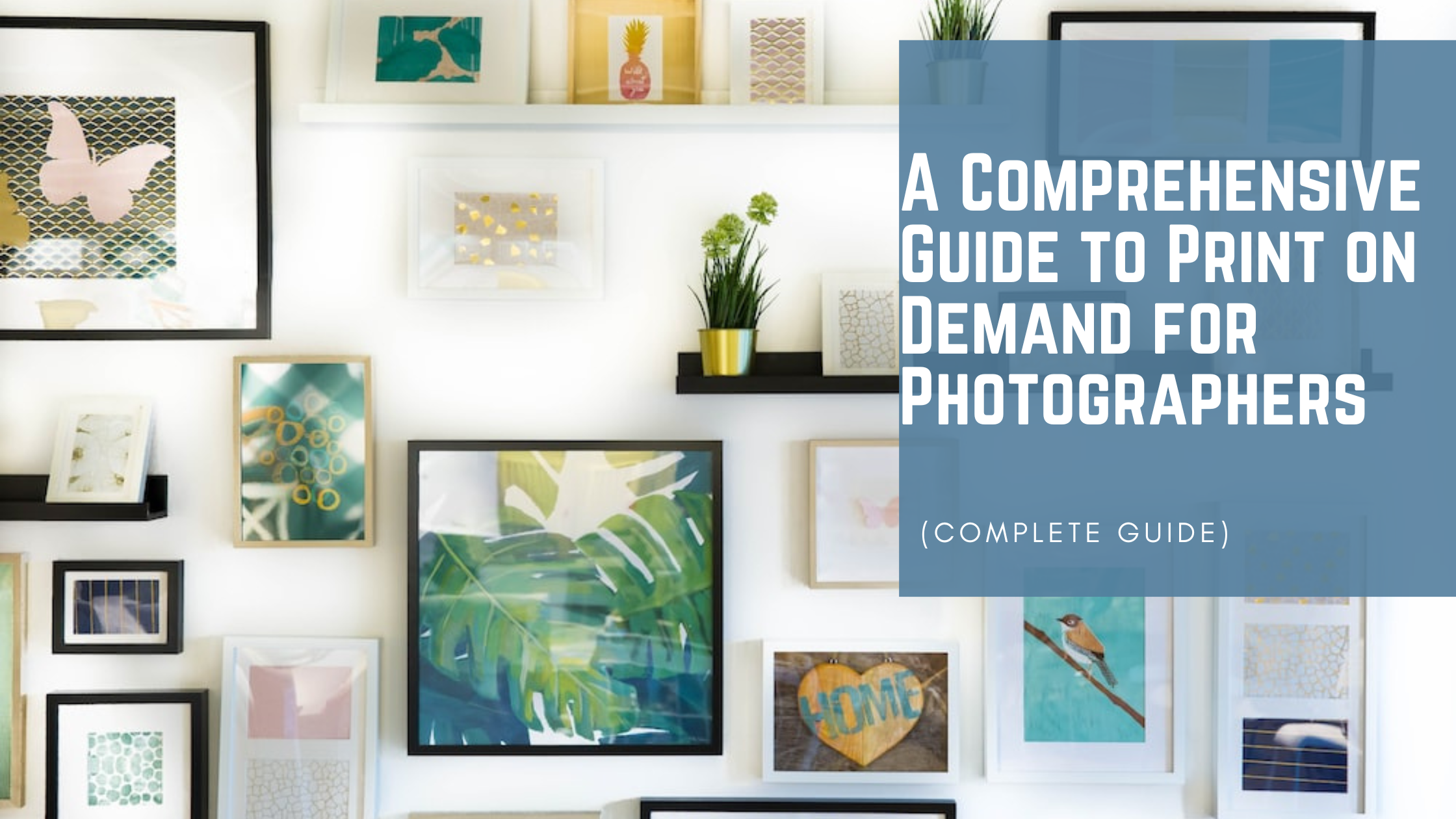 Unlocking Profit Potential: A Comprehensive Guide to Print on Demand for Photographers